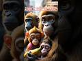 "शहर में बंदरों का बवाल 🐒 | Bandar Ki Kahani | Monkey Story in Hindi" #ytshort #youtubeshorts