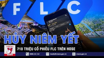 Hủy niêm yết 710 triệu cổ phiếu FLC trên HoSE - VNEWS