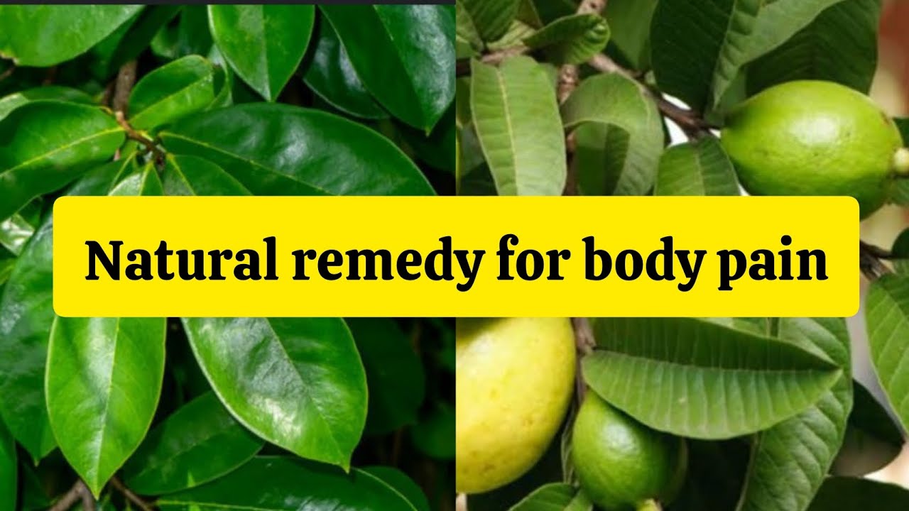 STOP That Severe Body Pain Natural Remedy For All Types Of Body Pain stop-that-severe-body-pain-natural-remedy-for-all-types-of-body-pain