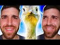 I went to the ZOO &amp; made this R&amp;B BEAT using ANIMAL SOUNDS!