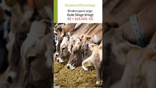 Bessere Grassilage +  Maissilage bringt + 163.569,- €/Jahr! #grünlandprofi #rinderreport S-H