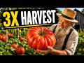 17 Amish Garden Tricks That Triple Your Harvest Without Chemicals