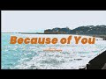 evening cinema - Because of You (Lyric Video)