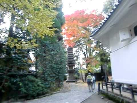 安楽寺 京都