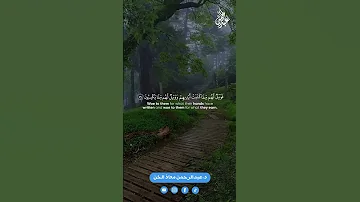 آيات قرانية من سورة البقرة 77 80 القارئ د عبدالرحمن معاذ الخن المصحف سورة 