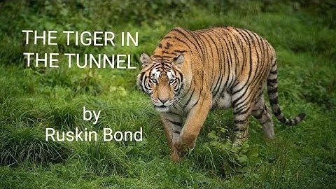 11th Class / Ex. Study / The tiger in the tunnel / Part 2.