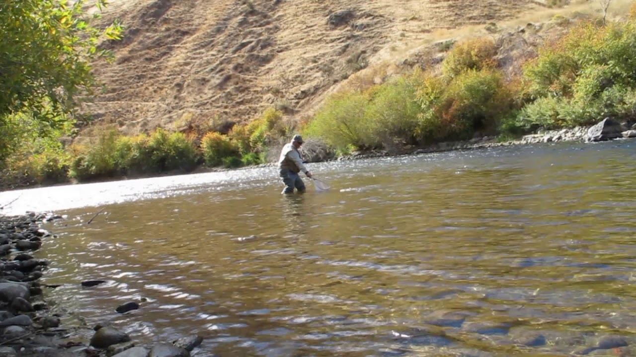 South Fork Boise River - YouTube