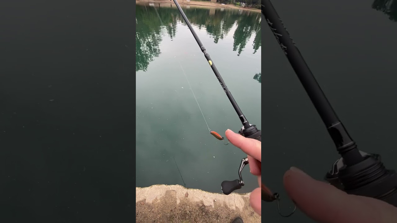 Megabass Great Hunting 5’1”, Shimano Nasci 500, 2# izor, micro trout spoon.