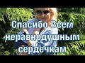 Висцеральный массаж для Дарины/Зачем мне поддержка незнакомых людей