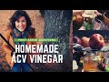 Homemade Apple Cider Vinegar MAQs (Most Asked Questions)- Prepsteaders Answers