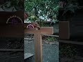 carpenter technique👍 #carpenter #woodworking #wood #diy #furniture #shorts