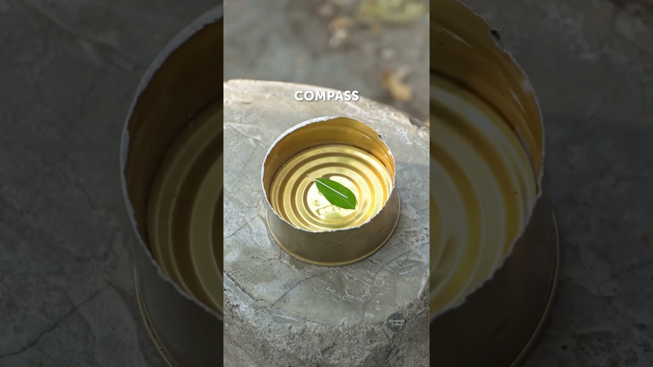 Smart Camping Hacks You’ll Wish You Knew Sooner! 🏕️✨ 