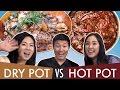 Spicy DRY POT vs HOT POT: Which is better?!