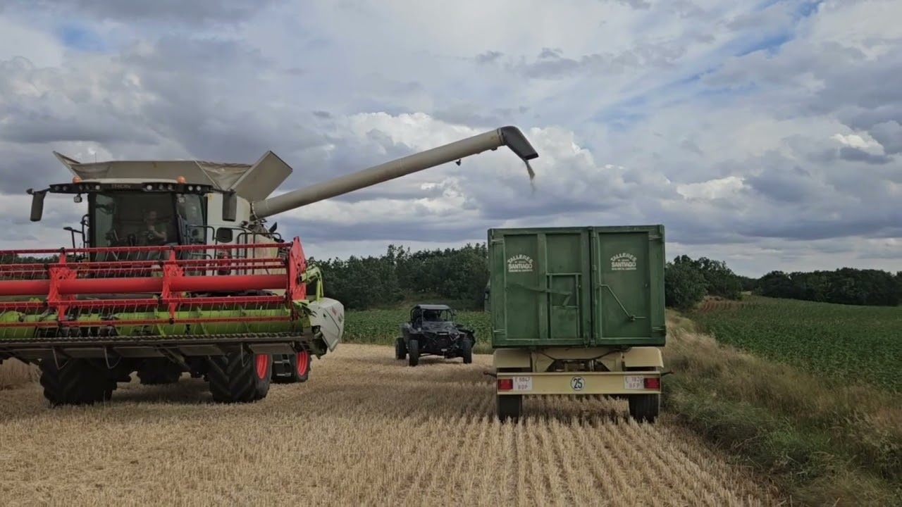 Claas Trion Montana 650  Campaña 2024