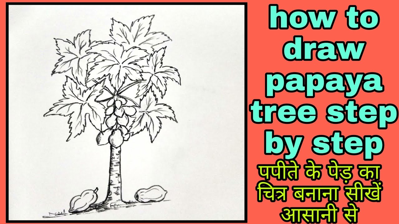 Banyan Tree  Tree of life artwork Tree sketches Tree illustration