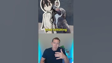 How Anime Saved This Penguin’s Life