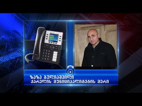 ქარელის მერი საბავშო ბაღებზე მუქარას უარყოფს