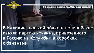 Полицейские Изъяли Партию Кокаина, Привезенного В Россию Из Колумбии В Коробках С Бананами