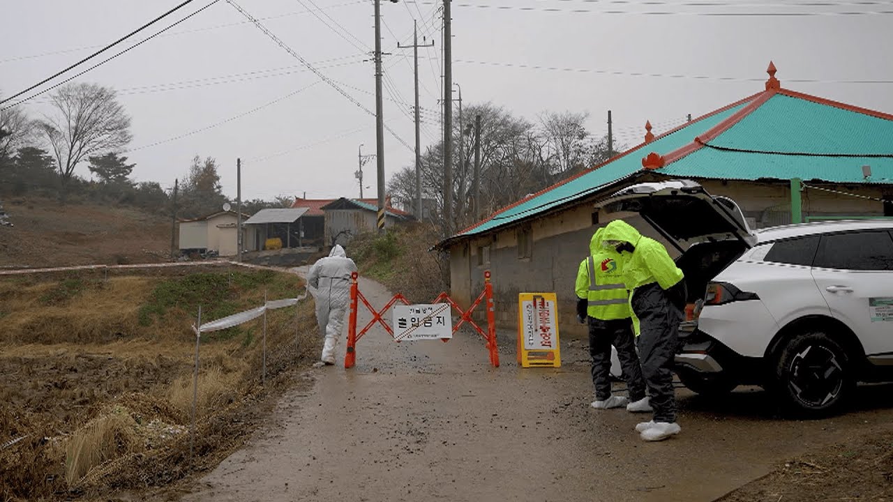 Concerns over livestock disease spread