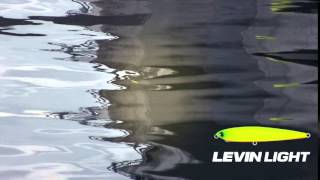 「レビンライト」スイムアクション