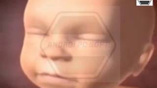 مراحل تكوين الجنين افضل فيديو 2020😍😍😍 screenshot 4