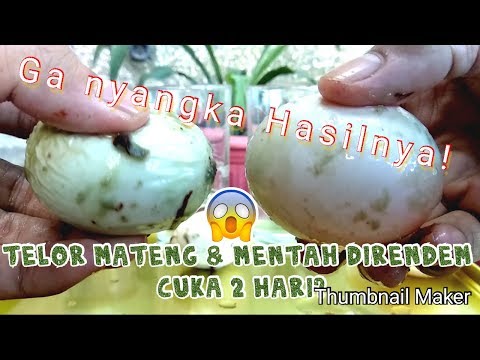 EKSPERIMEN TELUR Mentah & Mateng + Cuka Jadi?! Telur Bebek & Ayam Beda???