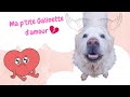 Ma p'tite Galinette d'amour 💔