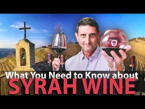 Essential Guide to Syrah Wine | What you need to know!