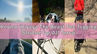 Review ibiyaya The Beast Pet Jogging Stroller for All Terrains, 3-Wheel Dog Carrier with Double Brea
