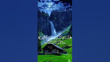 🎧 "موقع من القرآن مؤثر جداً | تلاوة خاشعة#القرآن_الكريم #اكسبلور #لايك #fypシ #facebook