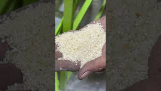 Multipurpose rice cleaning blower machine 📲 +91 94253 20160