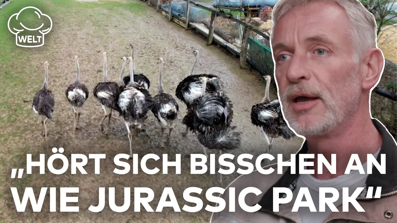 STRAUSSENFARM EMMINGHAUSEN: Fleischtrend-Alarm! Straußenfleisch wird immer beliebter | Food Magazin