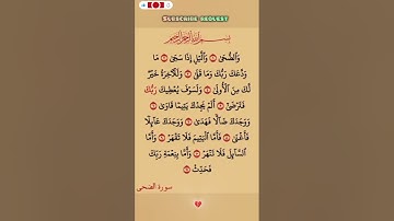 سورة الضحى💛 #اكسبلور #الله #duet #دويتو #تيك_توك #fyp #foryou #funny #allah #quran  #قرآن #لايك