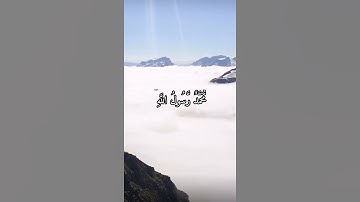 واتس اب قران كريم القارئ رعد الكردي (سوره الفتح)