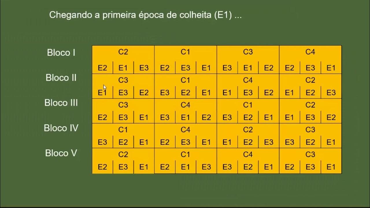 PARCELAS SUBDIVIDIDAS PARTE I YouTube