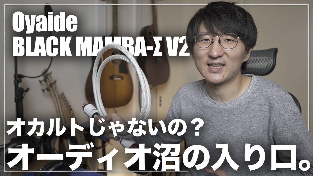 Will Oyaide's 50,000 yen luxury power cable improve the sound of