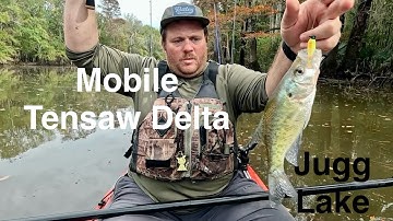 Fall Trip To Jugg Lake Crappie Fishing With My Dad Mobile Tensaw Delta