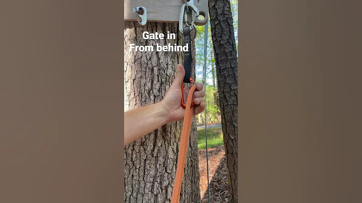 Clipping quick draws in sport climbing #sportclimb #climbing #rockclimbing