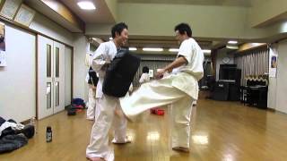 追い込みミット　平井さん