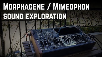 Make Noise / SoundHack Morphagene & Mimeophon sound exploration