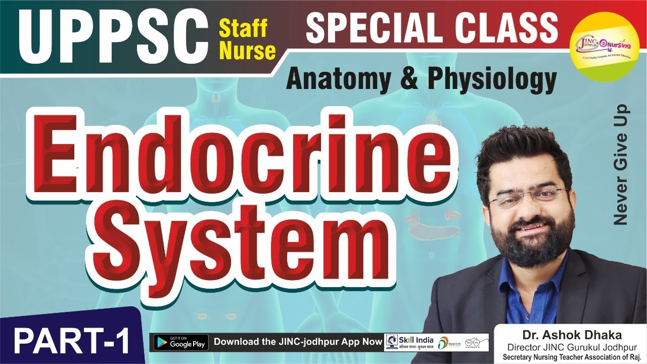 Endocrine System Part-1 Anatomy & Physiology for UPPSC - YouTube