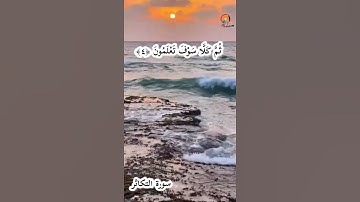سورة التكاثر  .علي الحذيفي ..