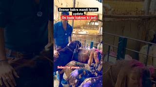 Do bade bakron ki jodi #trending #goat #viral #animals #shorts #deonarbakramandi #forsale #ytshorts