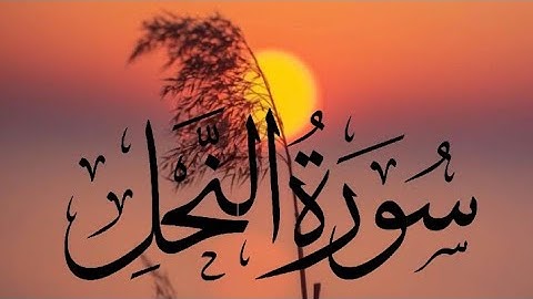 🐝تلاوة خاشعة ومؤثرة (سورة النحل) #القرآن_الكريم #سورة_النحل