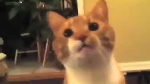 Shortest video in YouTube Part 3 in 0.125x speed