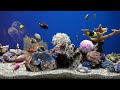 Dream aquarium  fish tank  no music  calming water sounds  5 hours