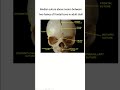 Bones of head and neck gold information to memorize