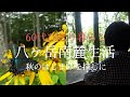 【八ヶ岳南麓60代一人暮らし】#29 カフェ・ド・ペイザン・八ヶ岳/森の中のお家訪問/海ノ口自然郷/野辺山・平沢峠/野の花/いつもの猫たち/移住暮らし/田舎暮らし/シニアライフ