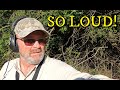 Metal Detecting Alabama Civil War Military Archaeology With Noisy Neighbors!!