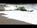 Sea waves  beach drone  free